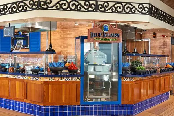 Carnival Elation Image 3