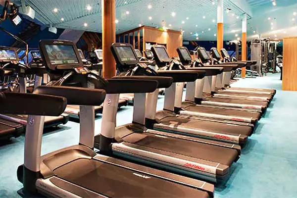 Wellness