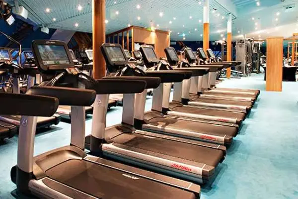 Wellness