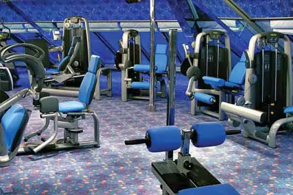 Wellness