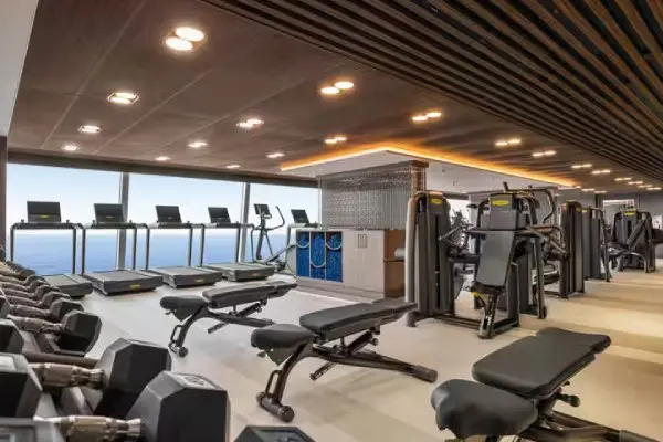 Wellness