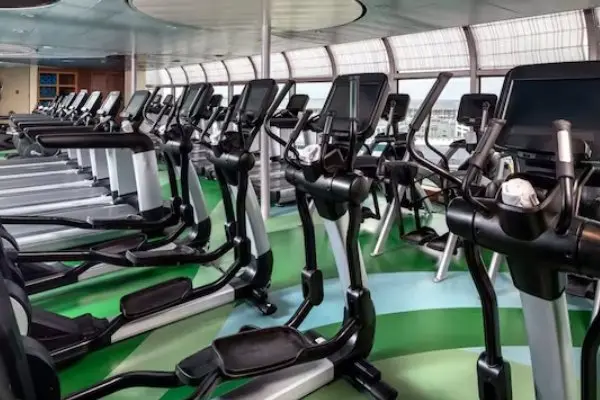 Wellness