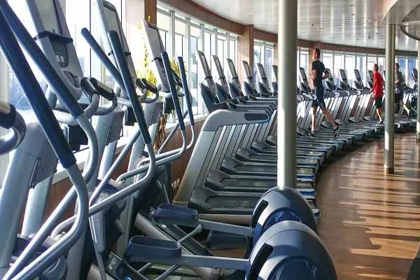 Wellness