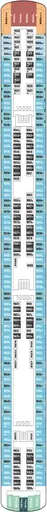 Norwegian Jade Deck 9