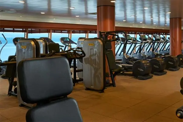 Wellness