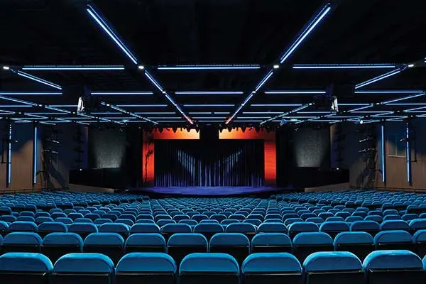 Entertainment & Nightlife 