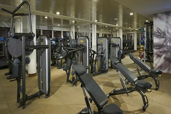 Wellness