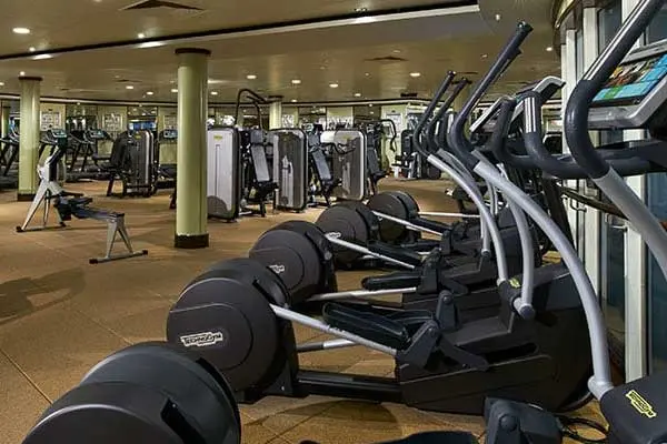Wellness