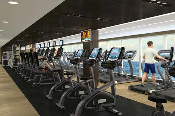 Wellness