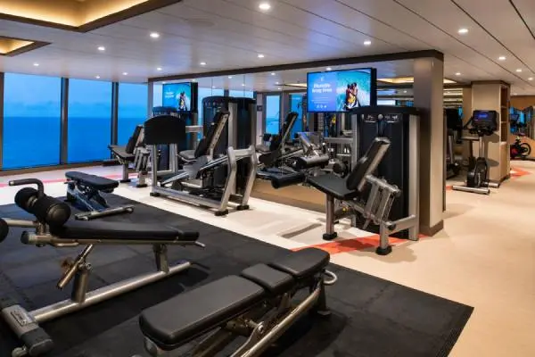 Wellness