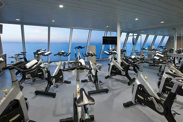 Wellness