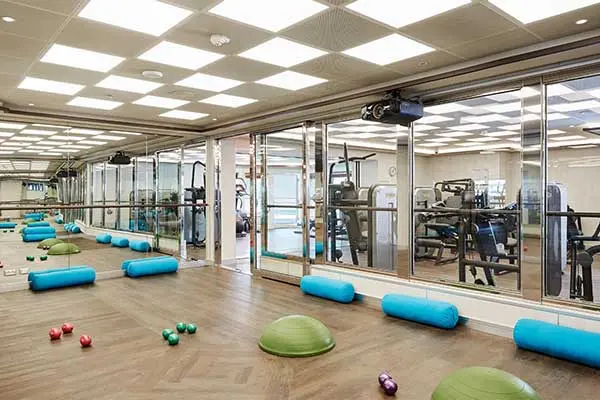 Wellness