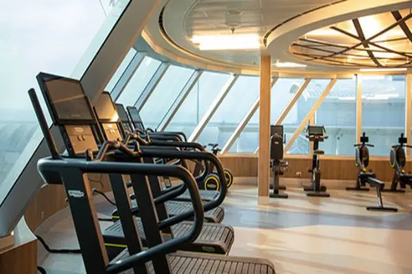 Wellness