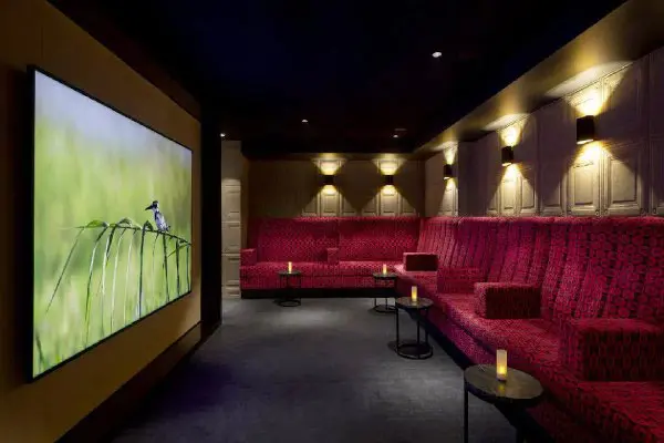 Entertainment & Nightlife
