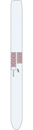 River Queen Moselle Deck