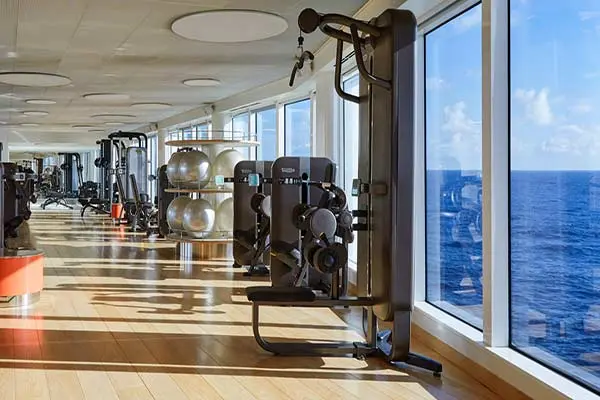 Wellness