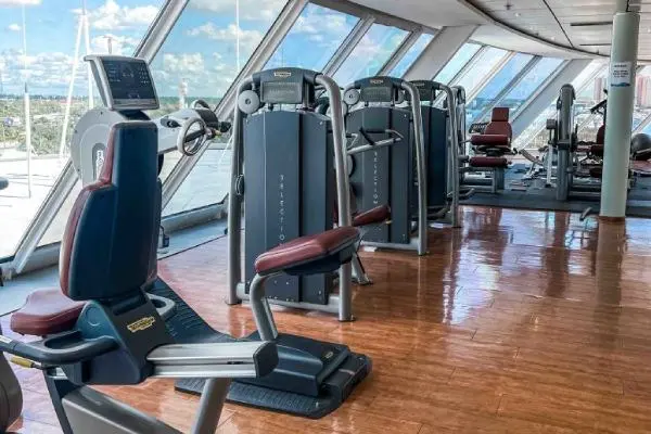 Wellness