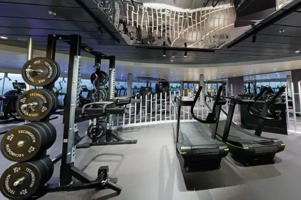 Wellness