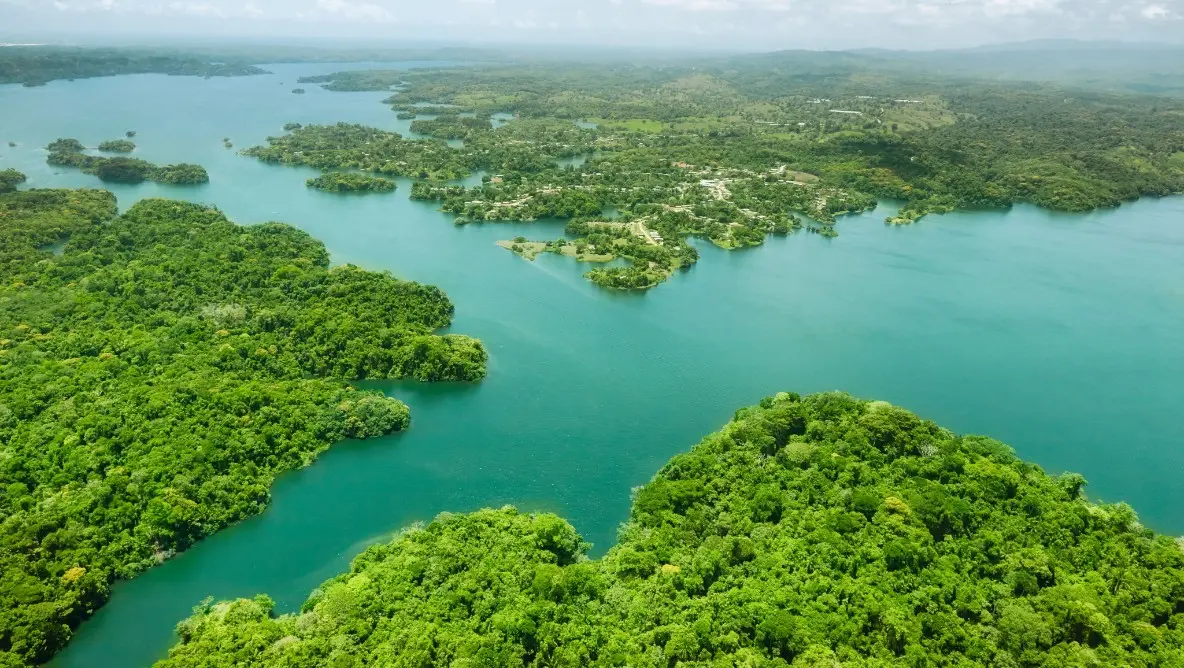 An emerald waterway flows through a lush tropical oasis in the Panama Canal, showcasing a unique blend of ecological beauty and iconic cruise transit.