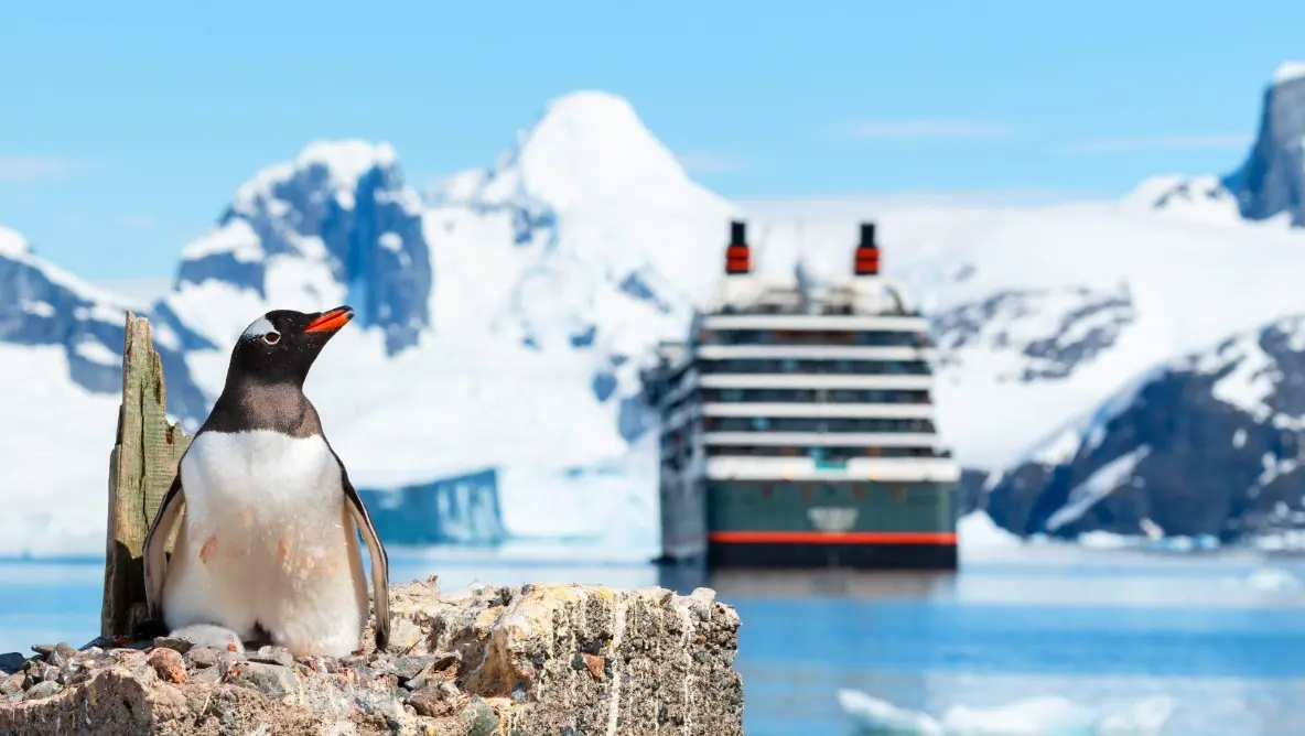 A penguin stands before your expedition ship and majestic snow-capped mountains, capturing the pristine wildlife encounters of a unique world cruise.