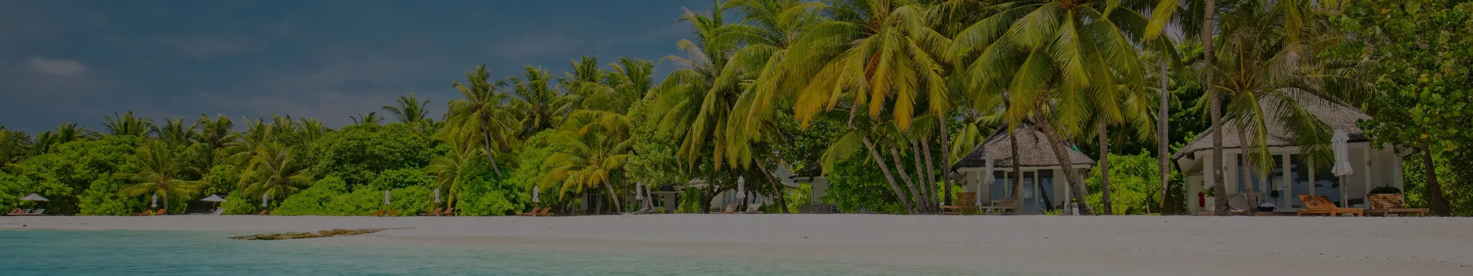 Step into magic with Disney Cruise Line. Relax on pristine beaches under tropical palms and enjoy unforgettable family moments in paradise.