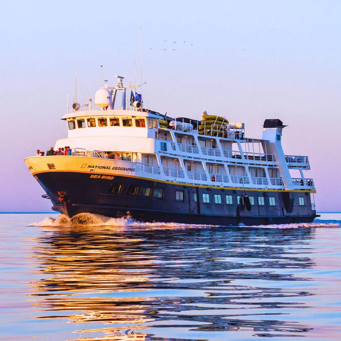 <span class="contentDescription">&nbsp;</span><span class="contentDescription">National Geographic Sea Bird,</span><span class="contentDescription">&nbsp;like her twin ship&nbsp;</span><span class="contentDescription">National Geographic Sea Lion,</span><span class="contentDescription">&nbsp;is a tried and true expedition ship that plies the waters from Alaska, to the Columbia and Snake Rivers, To Baja California and the Sea of Cortez. With a shallow draft and small size, she can easily reach places inaccessible to larger ships. She can venture into fast-moving channels where whales come to feed, transit a series of locks in the Pacific Northwest, nose up to waterfalls in secluded coves, and sail into protected anchorages in small bays perfect for snorkeling and kayaking. &nbsp;&nbsp;</span>