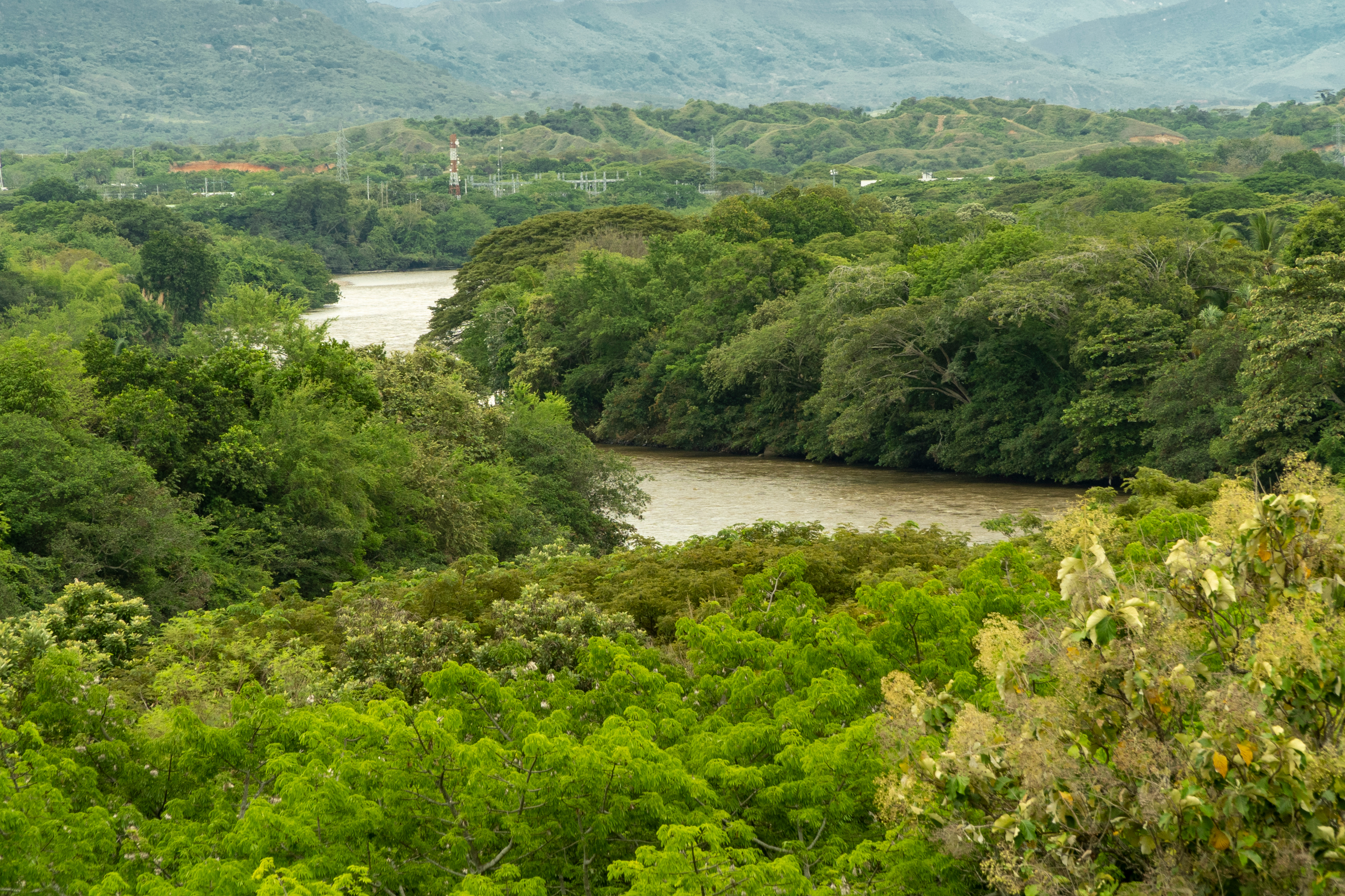 Landscape with trees and Magdalena river.