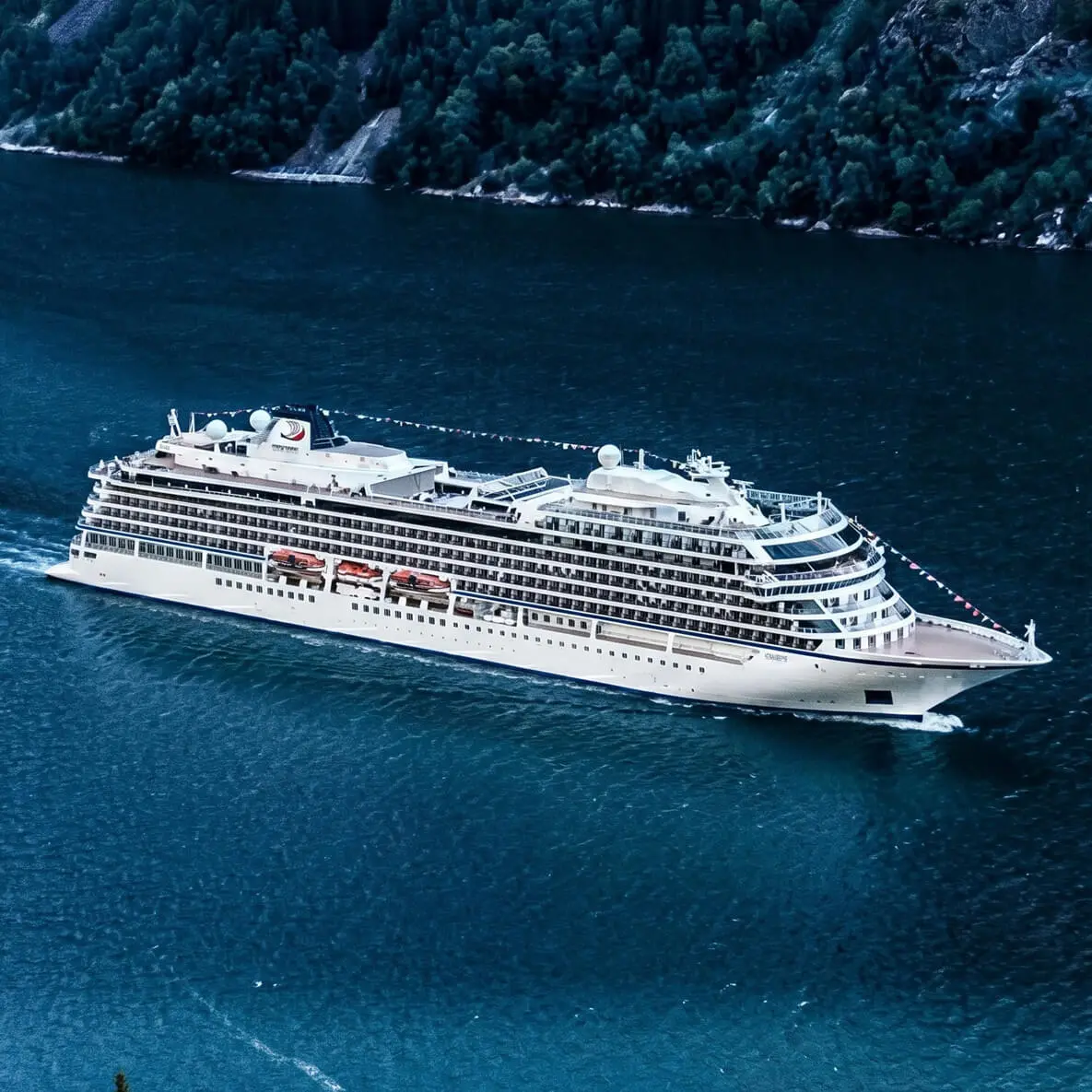 Viking Vela main image