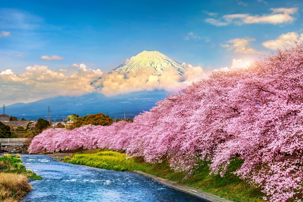  Japan